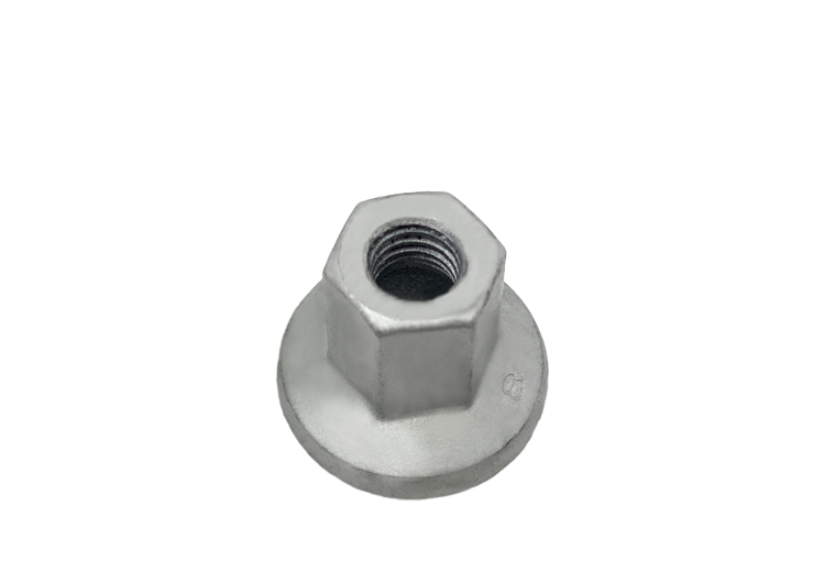 Hex Flange Nut