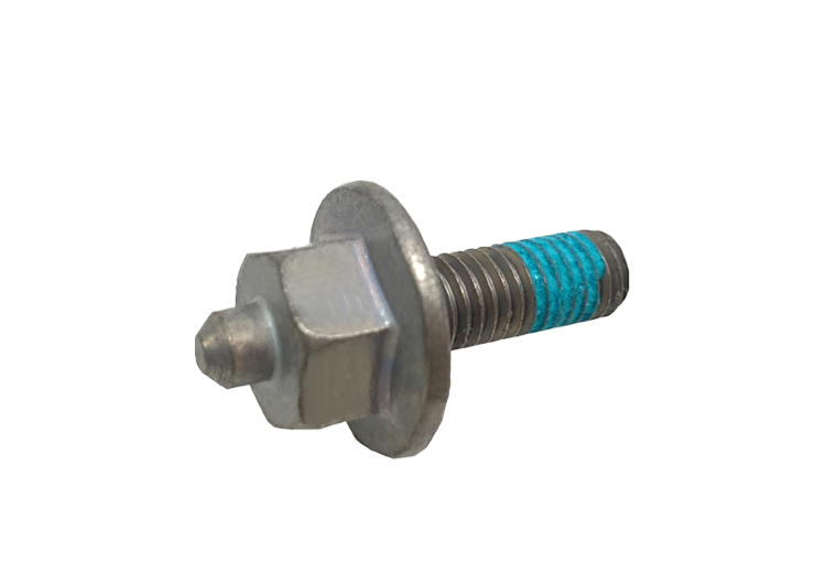 Hex Flange Head Screw w/ Patch