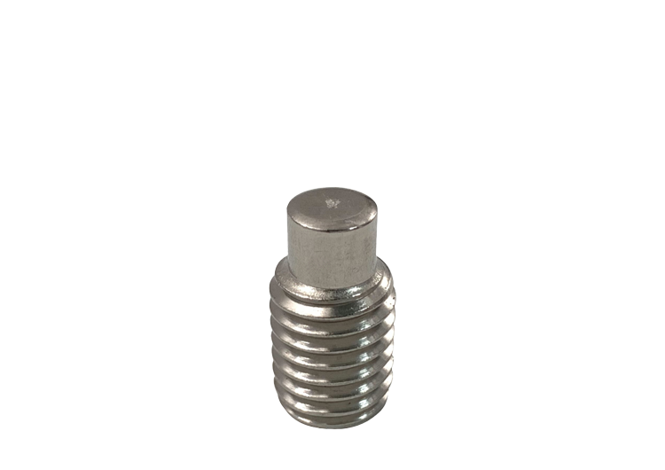 Hexagon Socket Set Screw w/ Dog Point