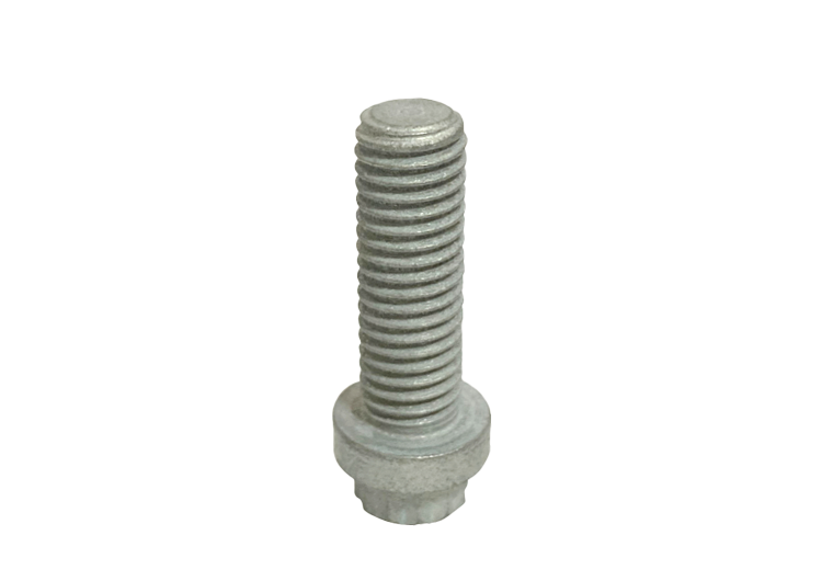 12 Point Cap Screw