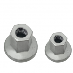 Hex Flange Nut