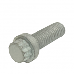 12 Point Cap Screw